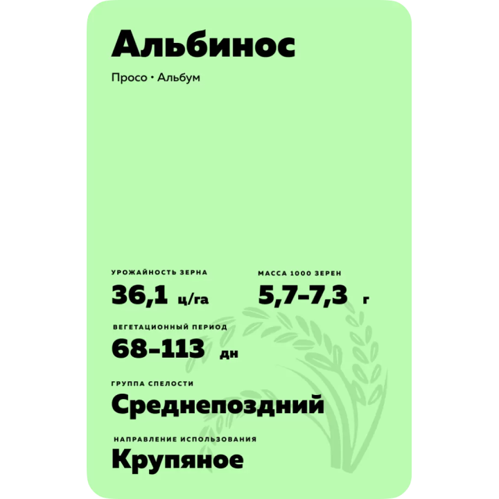 АЛЬБИНОС