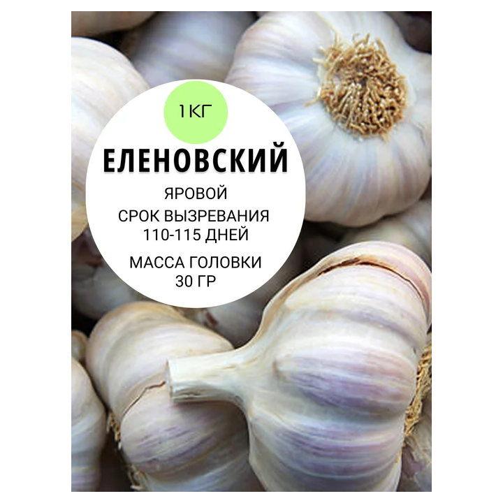 ДЕМИДОВСКИЙ