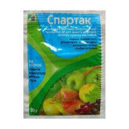 СПАРТАК