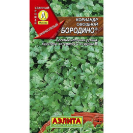 БОРОДИНО