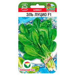 ЭЛЬ ЛУЦИО