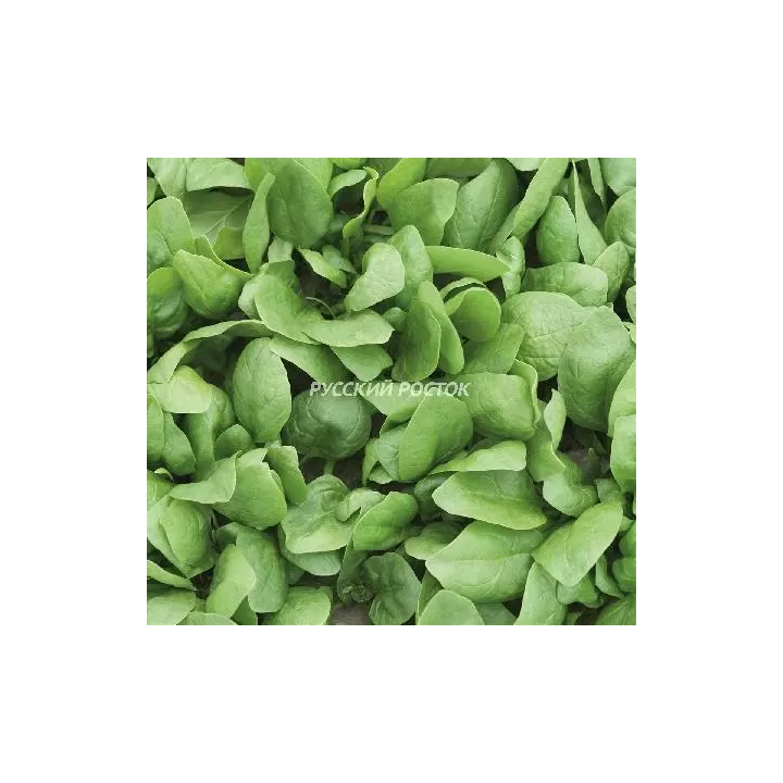 КУГО