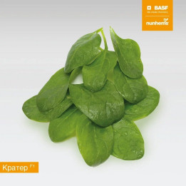 КРАТЕР