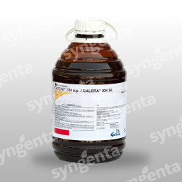 Галера 334 SL / Galera 334 SL