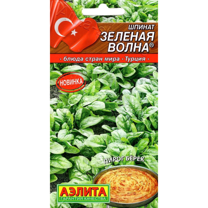ЗЕЛЕНАЯ ВОЛНА