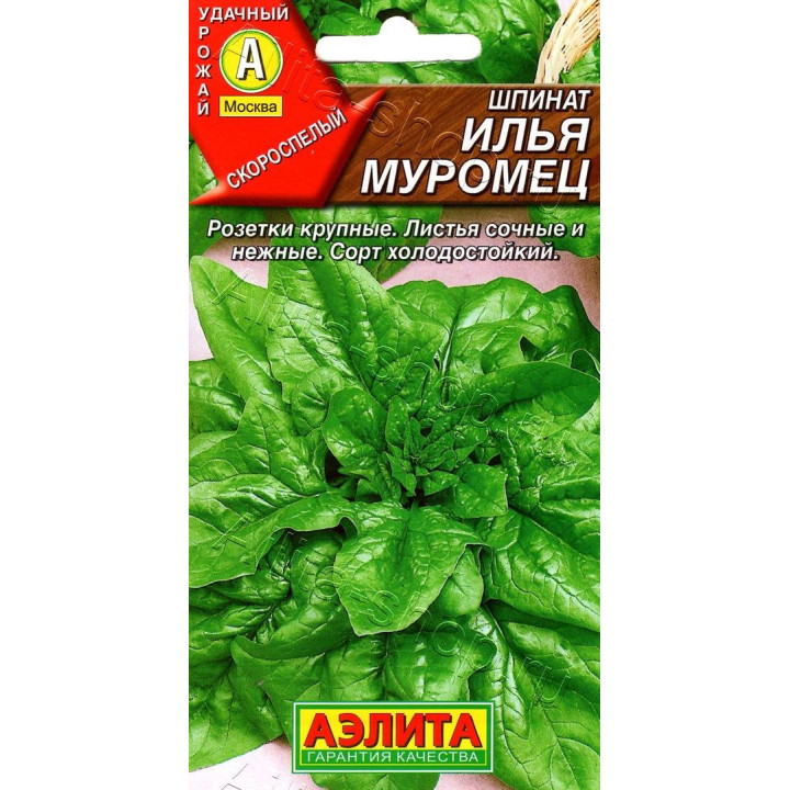 ИЛЬЯ МУРОМЕЦ