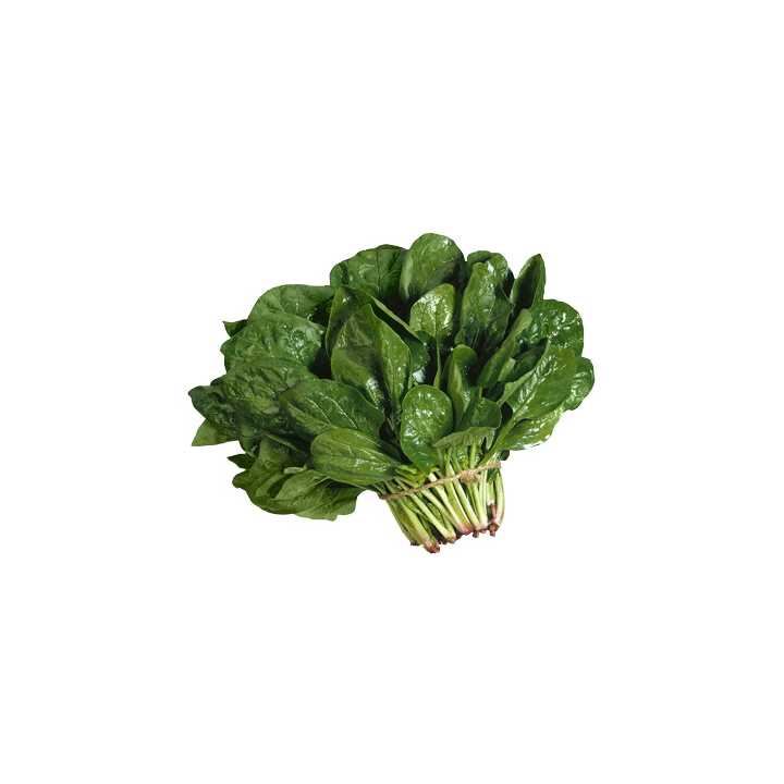 АПОЛЛО