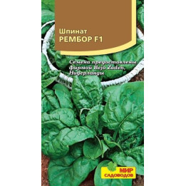 РЕМБОР