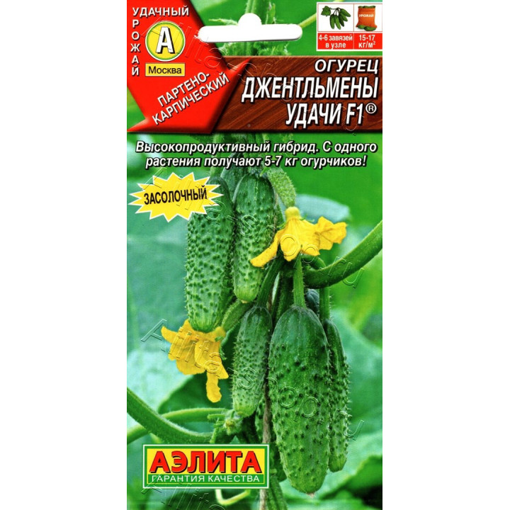 ДЖЕНТЛЬМЕНЫ УДАЧИ