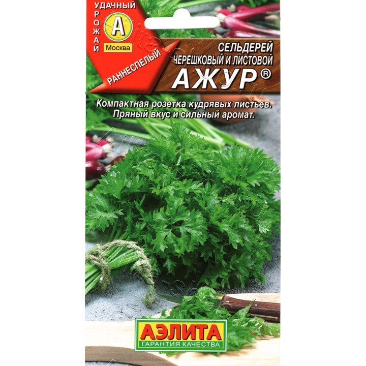 АЖУР