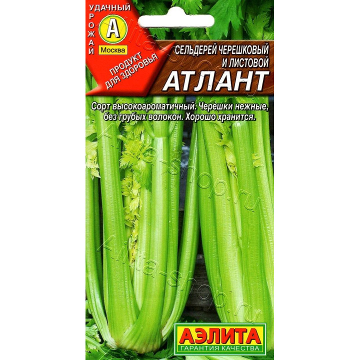 АТЛАНТ