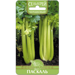 ПАСКАЛЬ