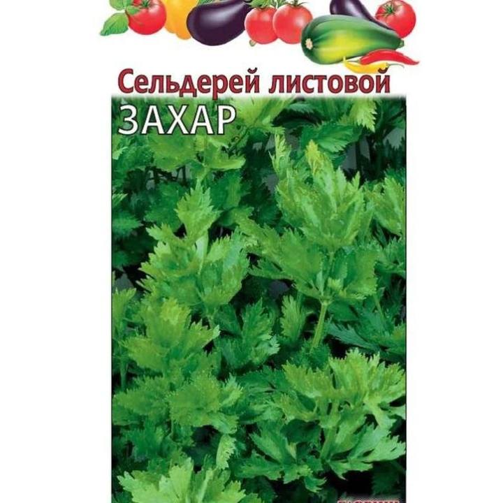 ЗАХАР