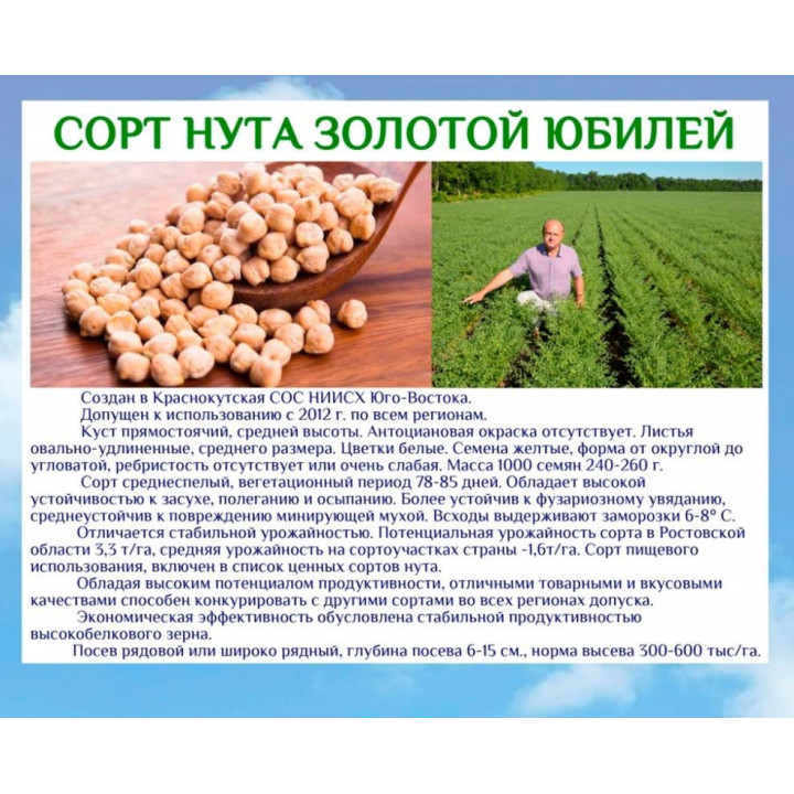 ЗОЛОТОЙ ЮБИЛЕЙ