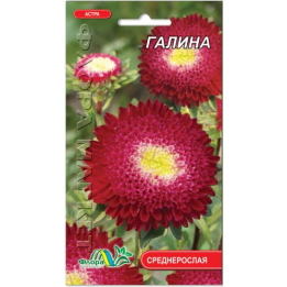 ГАЛИНА
