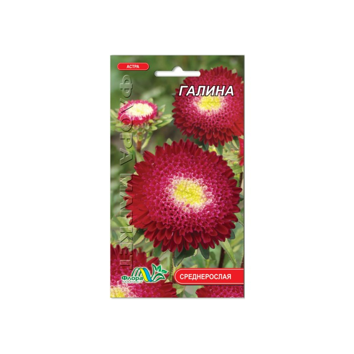 ГАЛИНА