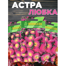 ЛЮБКА