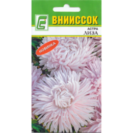 ЛИЗА