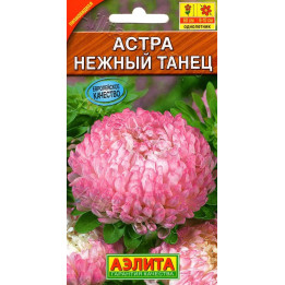 НЕЖНЫЙ ТАНЕЦ