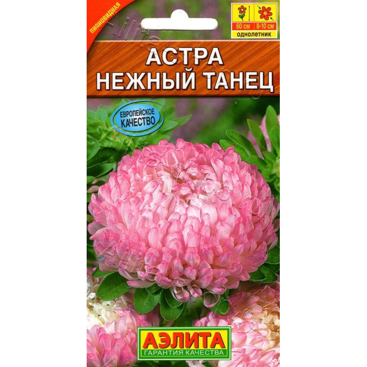 НЕЖНЫЙ ТАНЕЦ