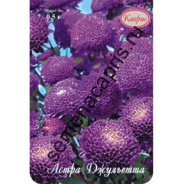 ДЖУЛЬЕТТА