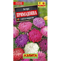 ПРИМАДОННА