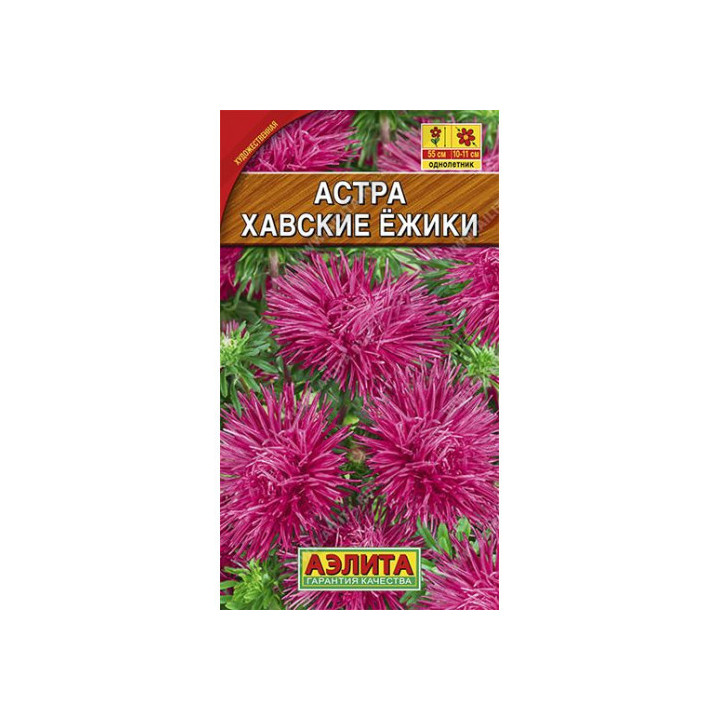 ХАВСКИЕ ЕЖИКИ