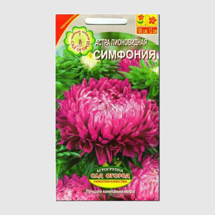 СИМФОНИЯ