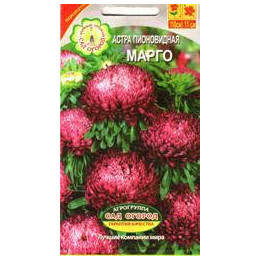 МАРГО