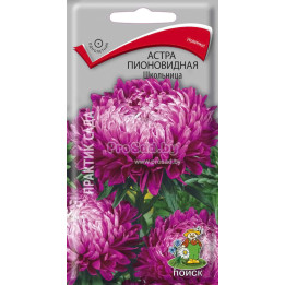 ШКОЛЬНИЦА