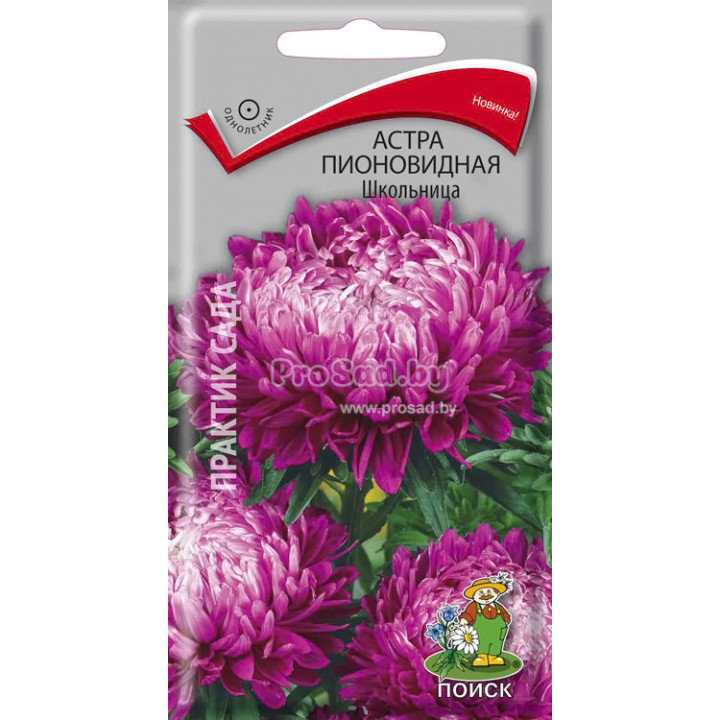 ШКОЛЬНИЦА