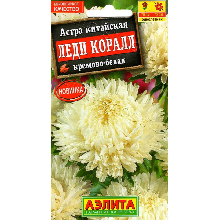 ЛЕДИ КОРАЛЛ КРЕМОВО-БЕЛАЯ