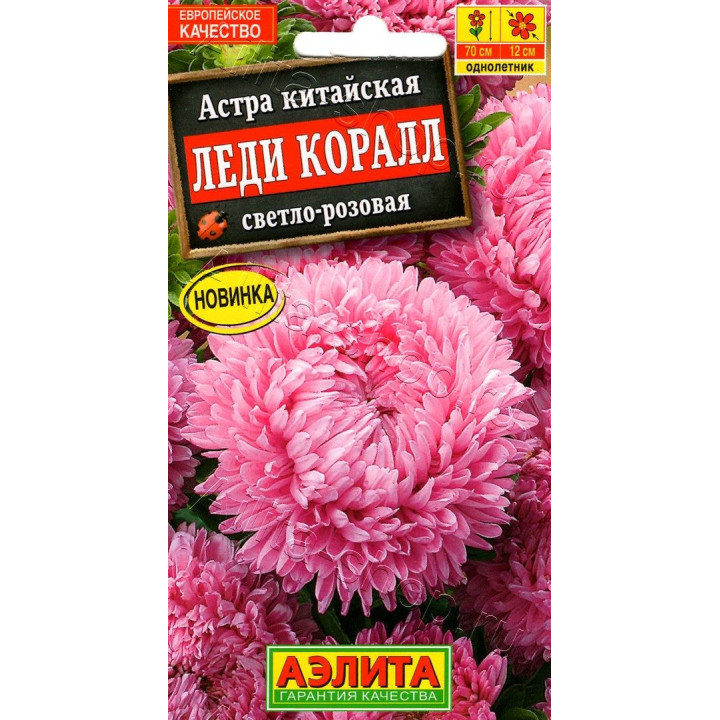 ЛЕДИ КОРАЛЛ СВЕТЛО-РОЗОВАЯ