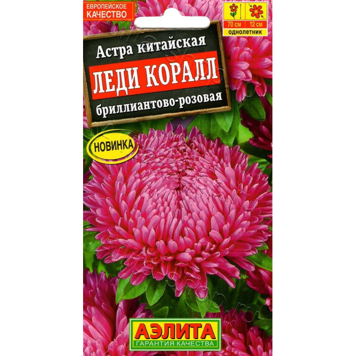 ЛЕДИ КОРАЛЛ БРИЛЛИАНТОВО-РОЗОВАЯ