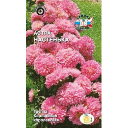 НАСТЕНЬКА