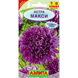 МАКСИ