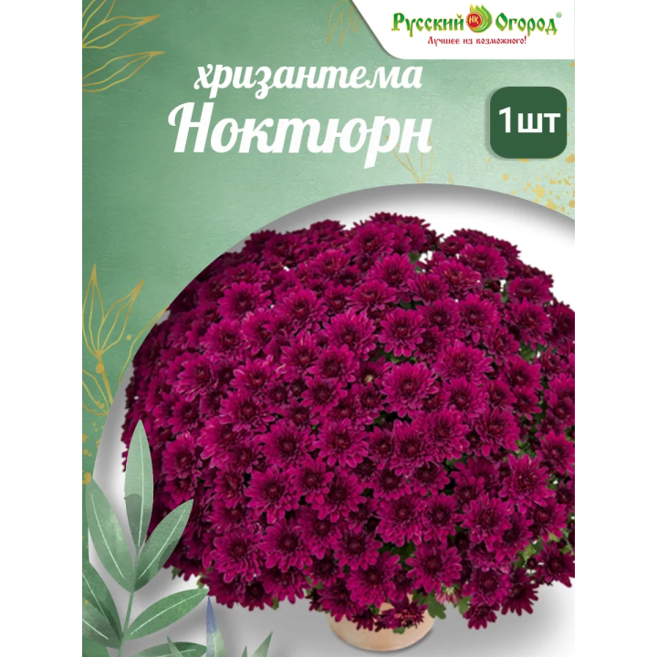 НОКТЮРН