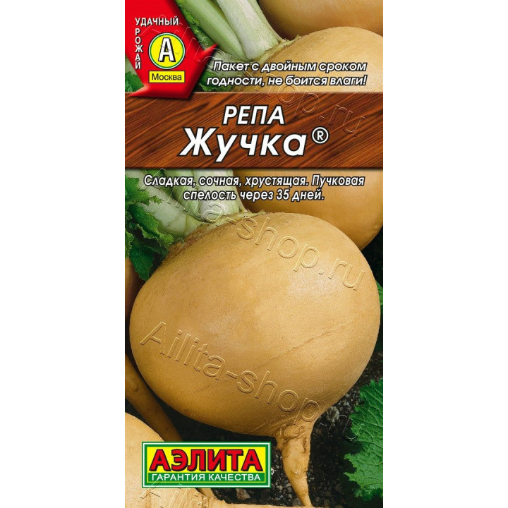 ЖУЧКА