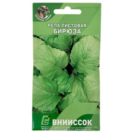 БИРЮЗА