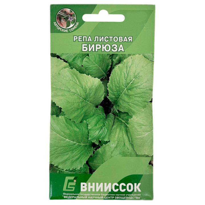 БИРЮЗА