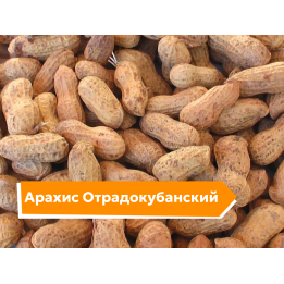 ОТРАДОКУБАНСКИЙ