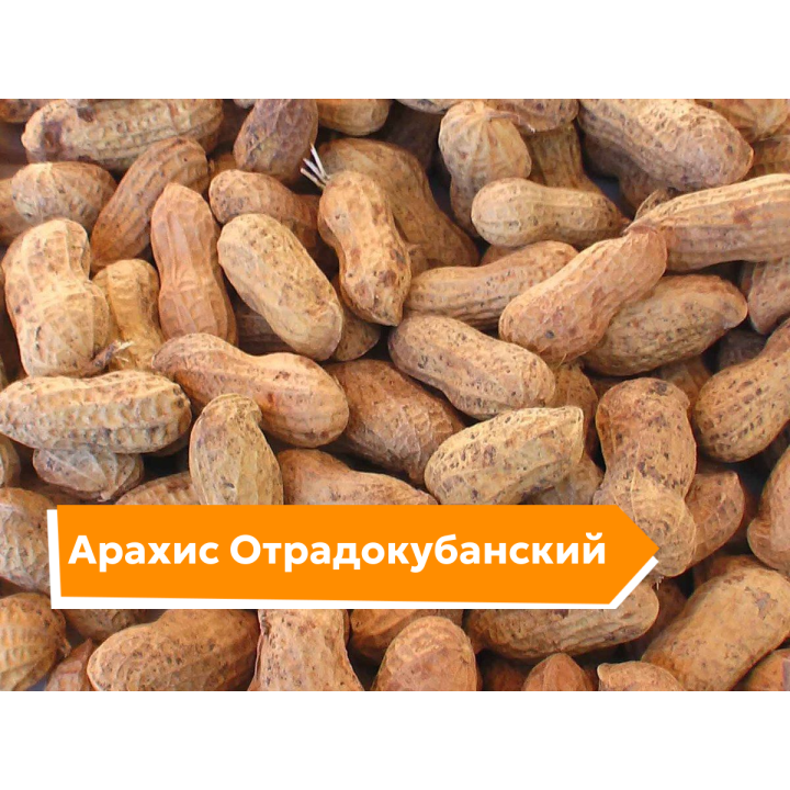 ОТРАДОКУБАНСКИЙ