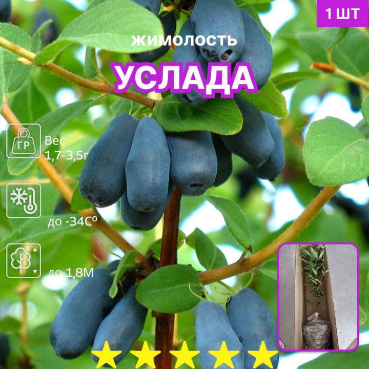 УСЛАДА