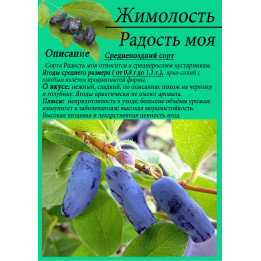 РАДОСТЬ МОЯ