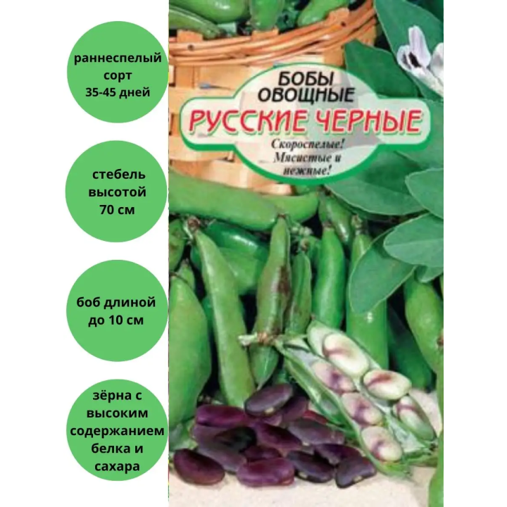 СИБИРСКИЕ