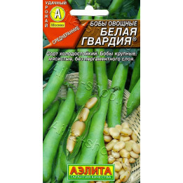 БЕЛАЯ ГВАРДИЯ