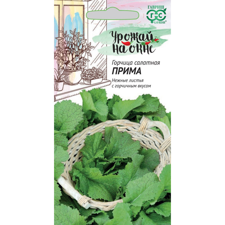 ПРИМА