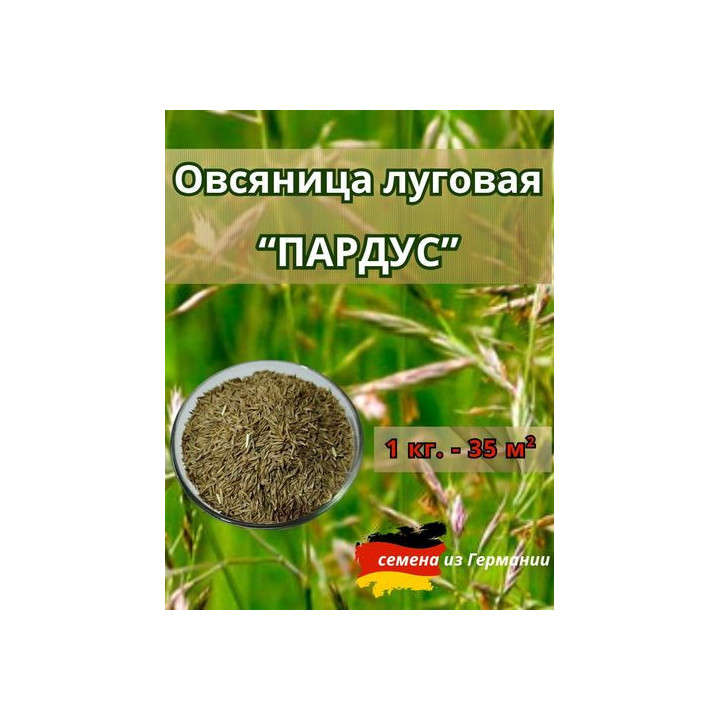 ПАРДУС