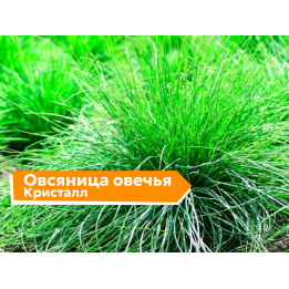 КРИСТАЛЛ