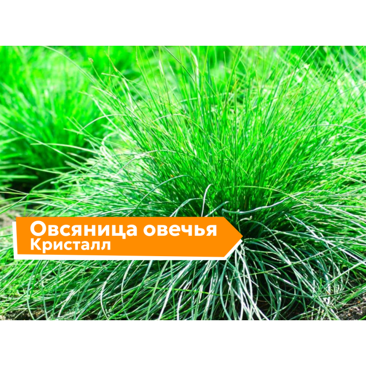 КРИСТАЛЛ